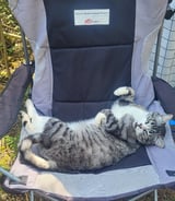 Driver in Parksville - Cheyanne M.