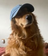 Caregiver in Waterloo - Muskan D.