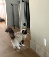 Housekeeper in Edmonton - Cherry V.