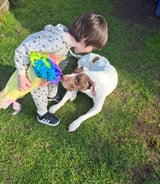 Nanny/Babysitter in Langley - Occasional childcare for our boys ages 2 and 3 years. Ideally someone dog Savvy as we have 3 dogs.