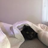 Pet care in Vancouver - Marg B.