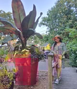 Nanny/Babysitter in Laval - Renilda N.