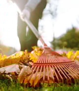 Housekeeper in Vancouver - Leaf Raking & Bagging — $21/hour — Start Saturday, Oct 25 — 25th & Oak area (Vancouver)