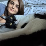 Pet care in Grimsby - Pan M.