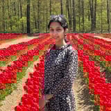 Nanny/Babysitter in London - Anureet K.