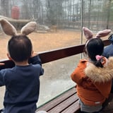 Nanny/Babysitter in Vaughan - Looking for experienced Saturday nanny ASAP