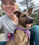 Pet care in West Vancouver - Ally R.