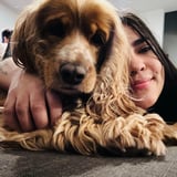 Pet care in Longueuil - Dayanna A.