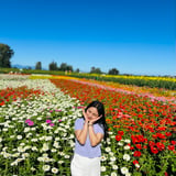 Housekeeper in Vancouver - Sheyrab W.