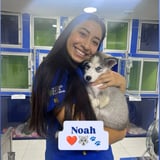 Pet care in Calgary - Laura Valentina S.