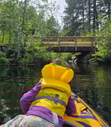 Nanny/Babysitter in Victoria - Fun energetic family looking for summer care !
