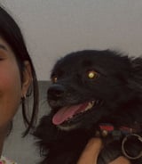 Pet care in Brampton - Manmeet K.