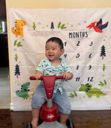 Nanny/Babysitter in Whitby - Nanny needed for 15 month old boy