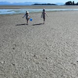 Nanny/Babysitter in Vancouver - Flexible mothers support for two girls
