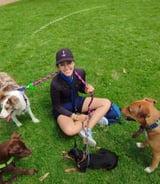 Pet care in Montreal - Gaby D.