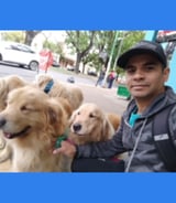 Pet care in Toronto - Johan A.