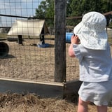 Nanny/Babysitter in Aurora - Part time nanny plus weekend and travel