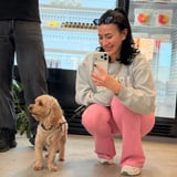 Pet care in Montreal - Samantha T.