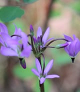 Caregiver in Taber - In Home Care for 1 elder in Taber - casual and on-call