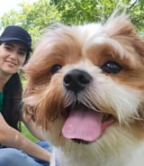 Pet care in Toronto - Vittoria D.