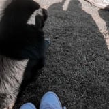 Nanny/Babysitter in Vancouver - Syelden P.