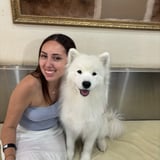 Pet care in Mississauga - Sofia S.