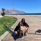 Pet care in Burnaby - Paulina E.