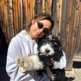 Pet care in Edmonton - Valeria T.