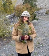 Housekeeper in Halifax - Tess F.