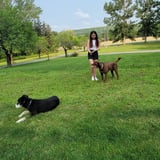 Pet care in Toronto - Camila A.