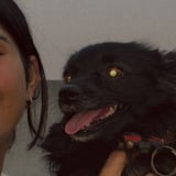Pet care in Brampton - Raman D.