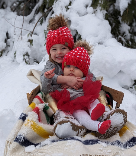 Nanny/Babysitter in Ottawa - Seeking part-time live-out nanny in Manotick for our 2 girls