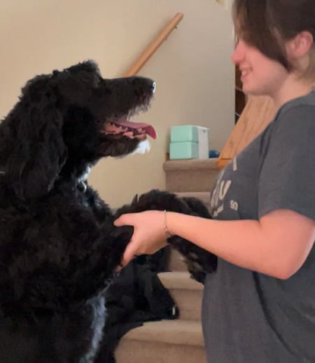 Pet care in Winnipeg - Micky D.