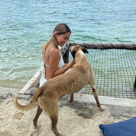 Pet care in Toronto - María B.