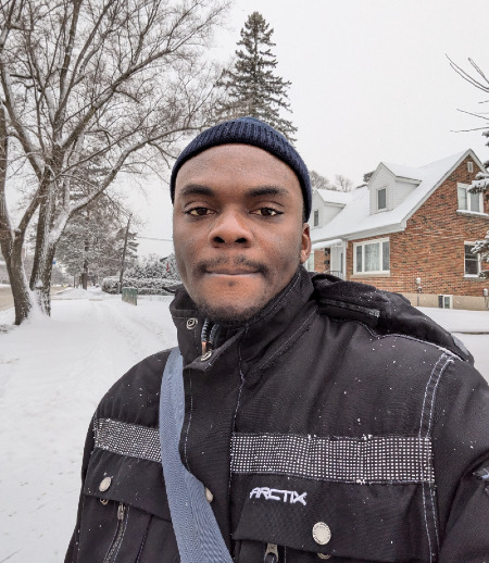 Nanny/Babysitter in Toronto - Chisom O.