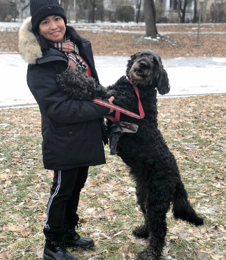 Pet care in Westmount - Irene G.