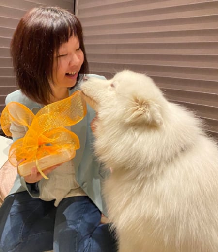 Pet care in Mississauga - Qian Chen Y.