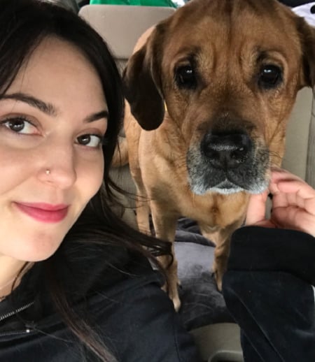 Pet care in Hamilton - Heather T.