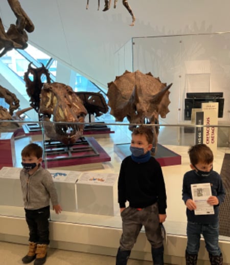 Nanny/Babysitter in Bradford West Gwillimbury - Full-time nanny needed for 3 boys