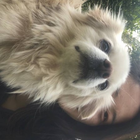 Pet care in Niagara Falls - Sonam Z.