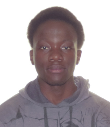 Nanny/Babysitter in Quebec - Geremie Ivan N.