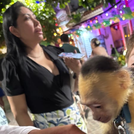 Pet care in Burnaby - Laura A.