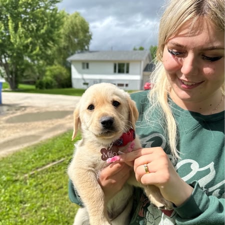 Pet care in Niverville - Brooke S.