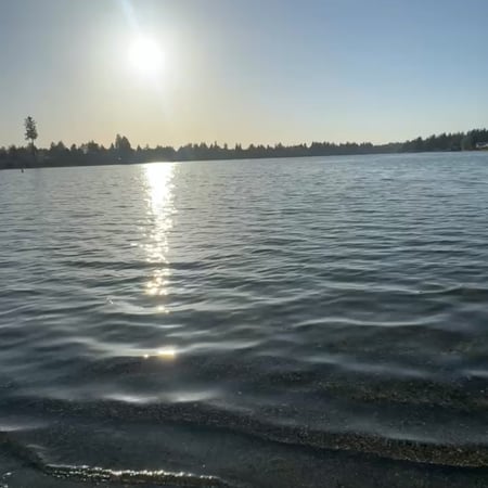 Nanny/Babysitter in Surrey - Kamal D.