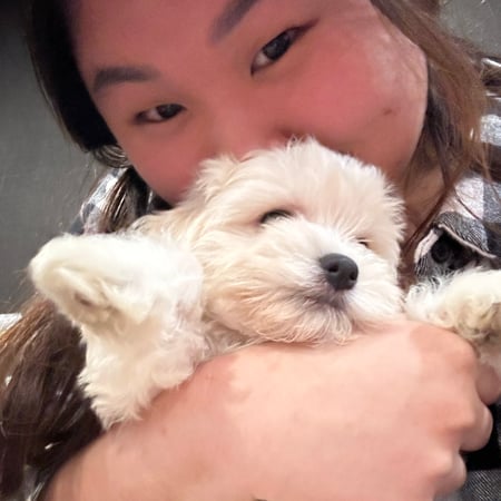 Pet care in Toronto - Evelyn S.