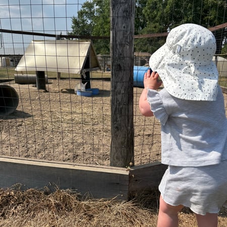 Nanny/Babysitter in Aurora - Part time nanny plus weekend and travel