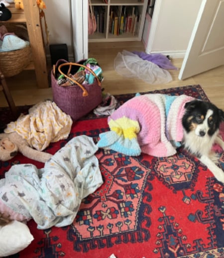 Nanny/Babysitter in Gatineau - Looking for extra help with childcare and household tasks.