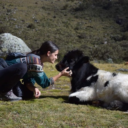 Pet care in Montreal - Patricia T.